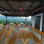 招待所 Local Living Edi