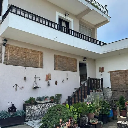 Penzion Local Living Edi *