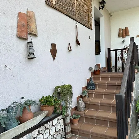 Local Living Edi Penzion *